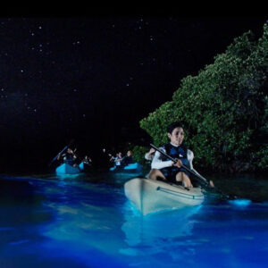 Night Kayaking