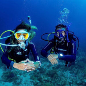 Scuba Diving