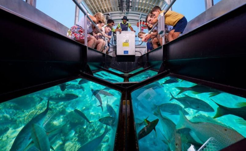 Glass Bottom Ride - Image 3