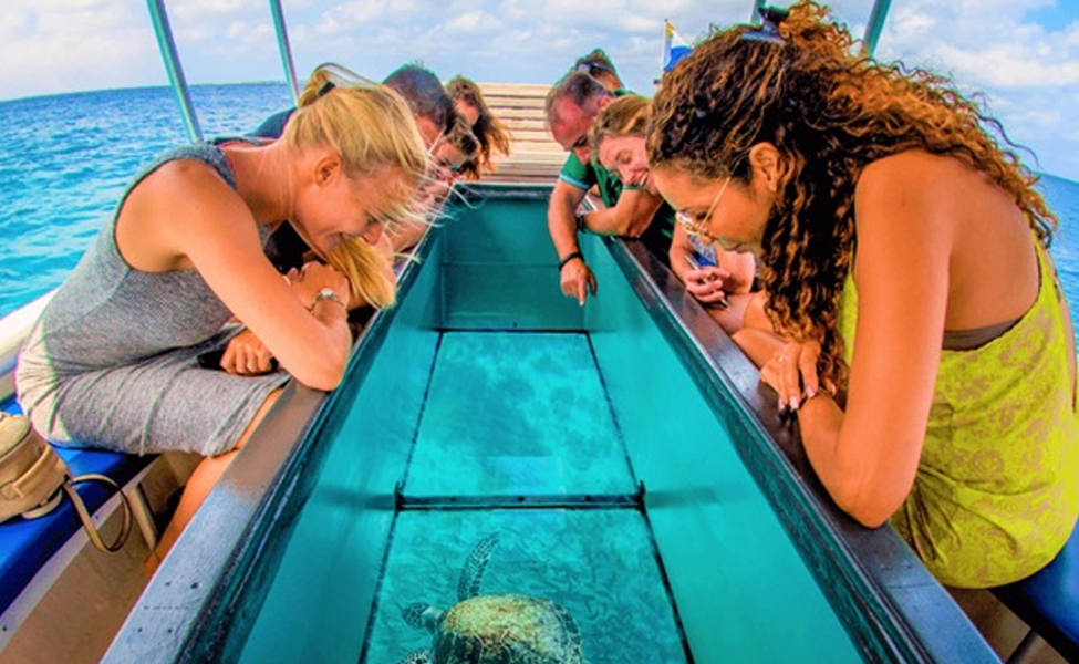 Glass Bottom Ride - Image 4