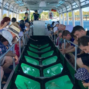 Glass Bottom Ride