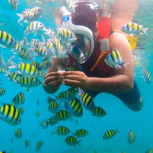 Snorkeling